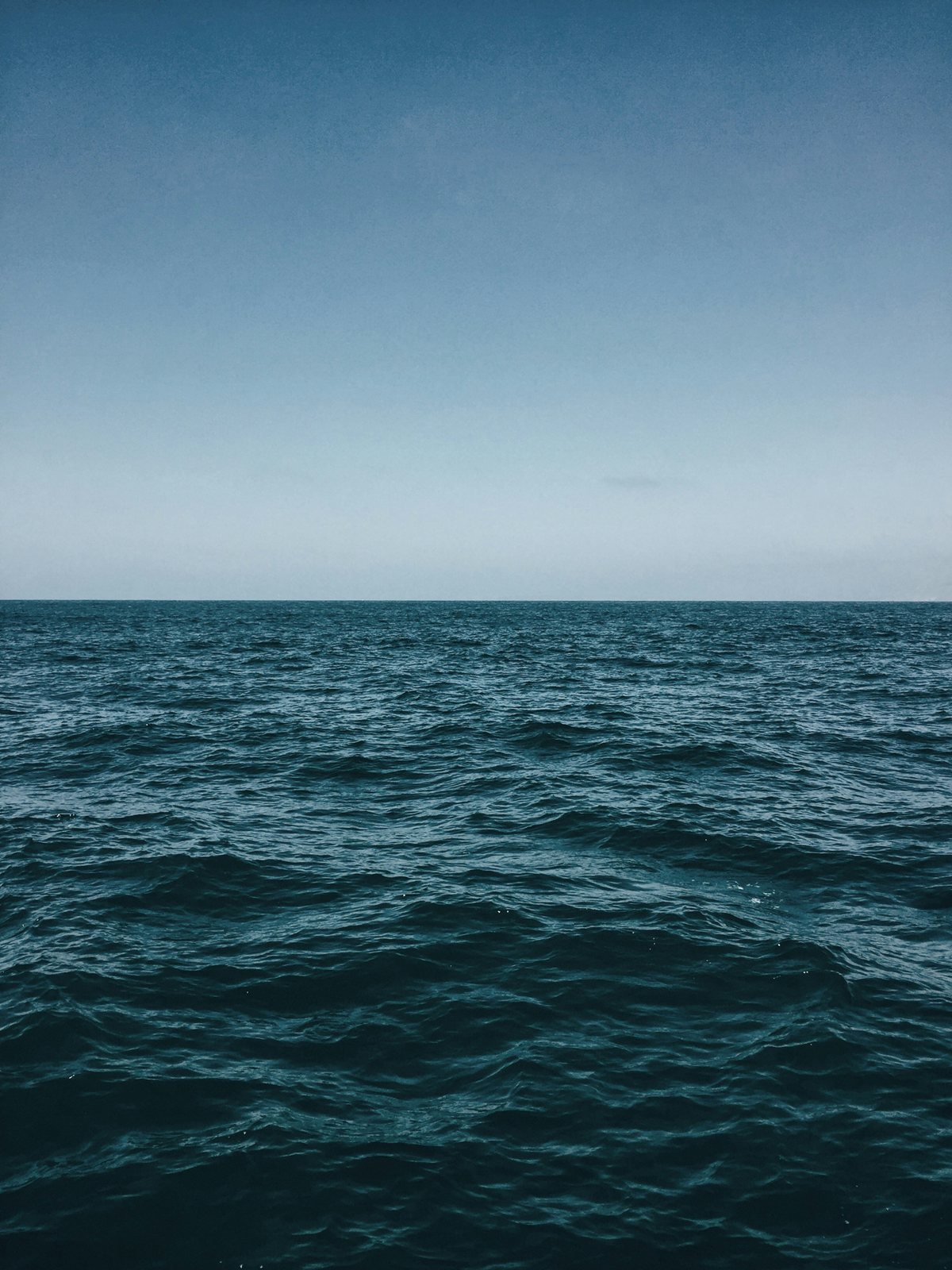 Open sea under a clear sky, the horizon halfway up the frame.