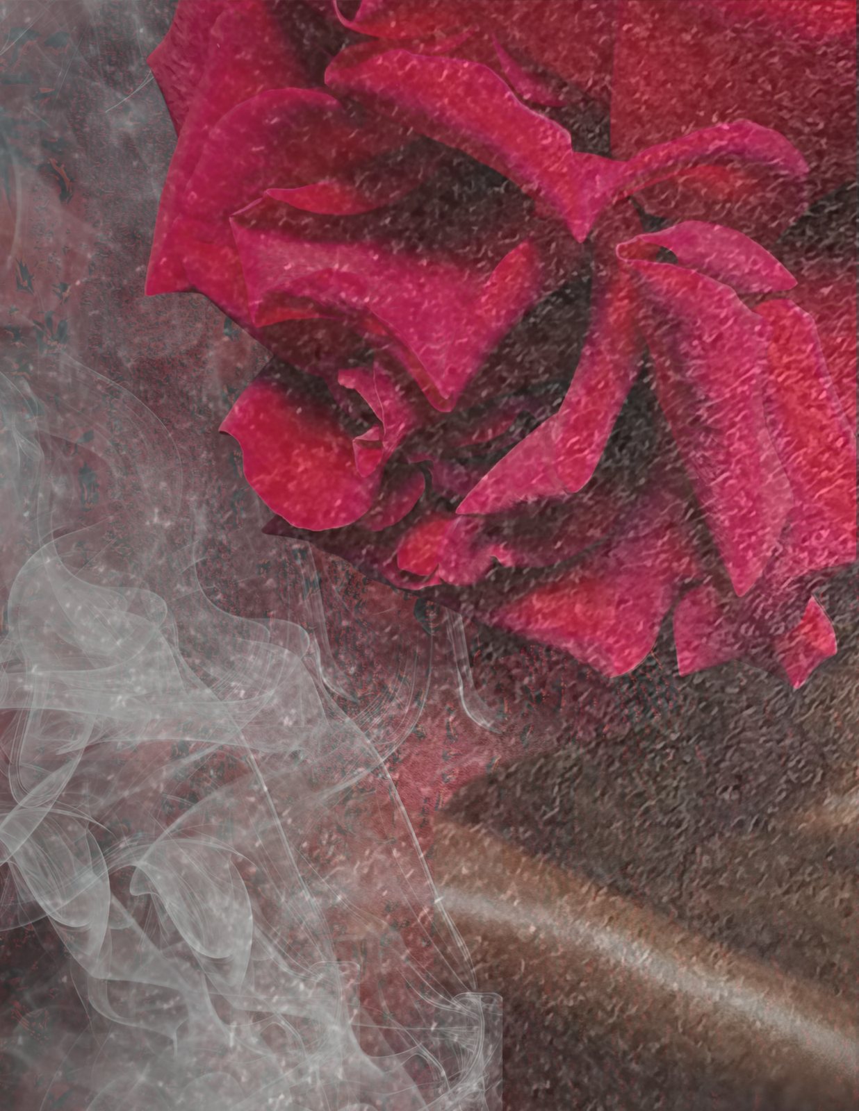 A deep pink rose seen close, wrapped in pale gauze.