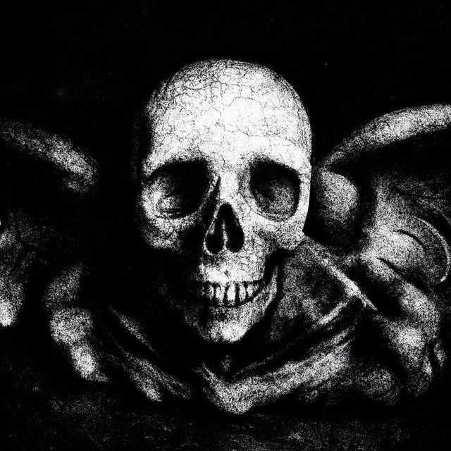 The author’s chosen image: a winged skull in high-contrast black and white.