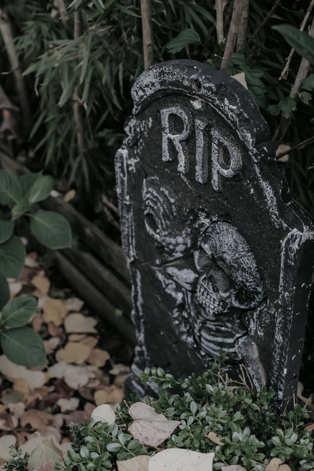 A weathered headstone carved “RIP” with a skeleton in relief, standing among garden plants.