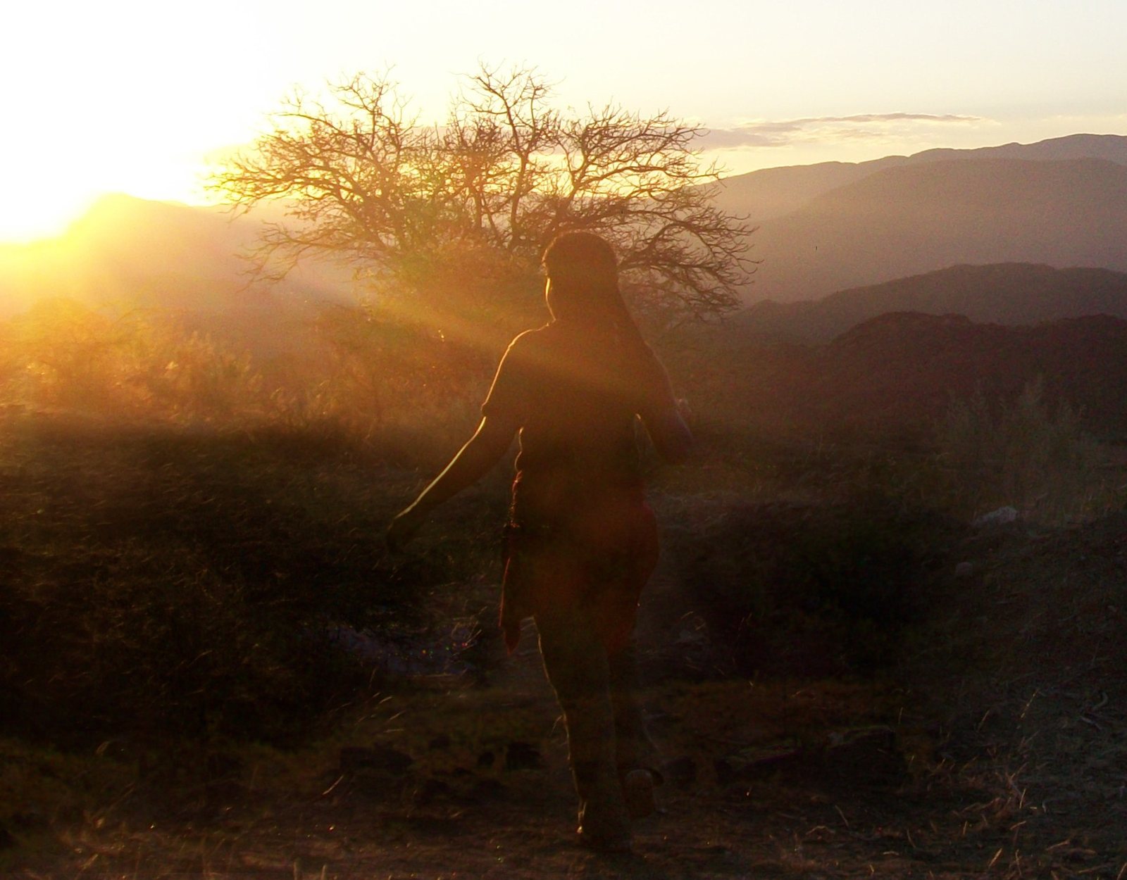 A figure silhouetted on a hillside at sunrise beside a bare tree.
