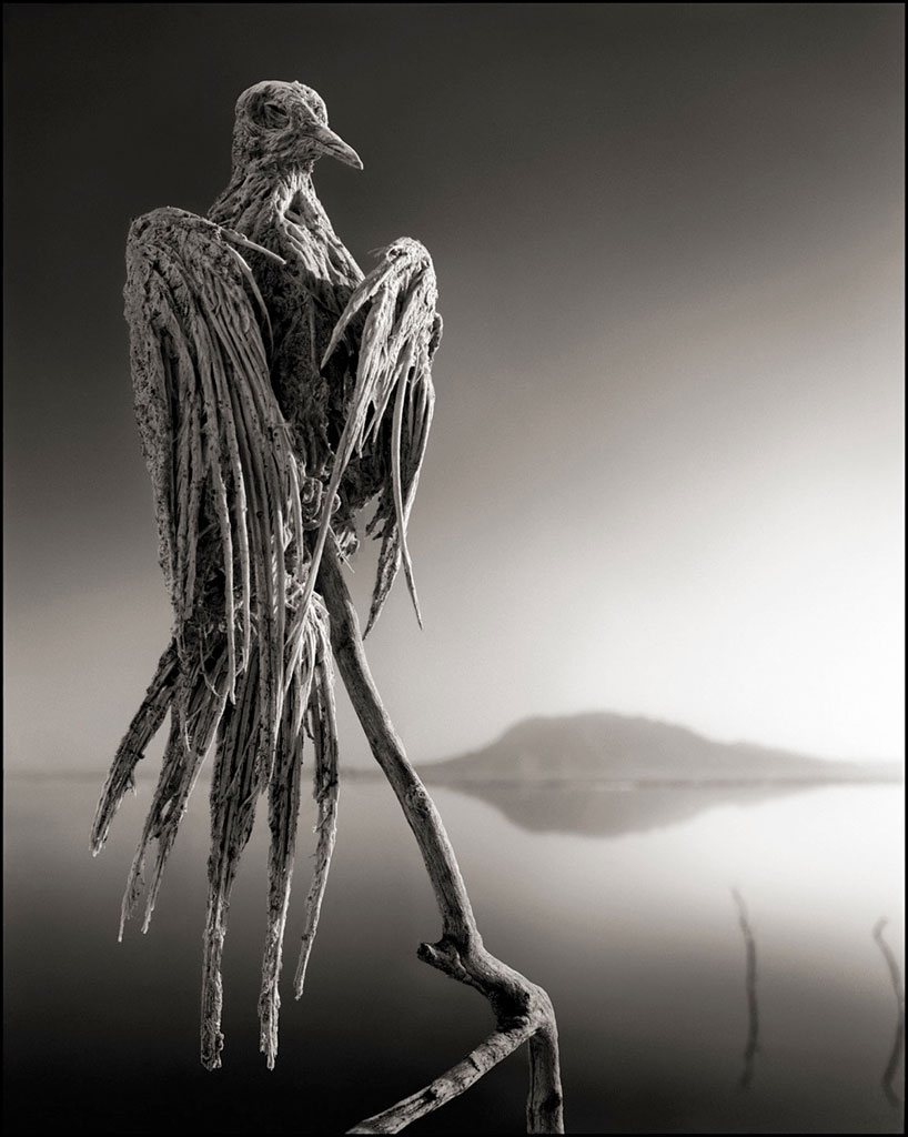 A sculpture of a gaunt bird-like figure on a stake, reflected in still water.