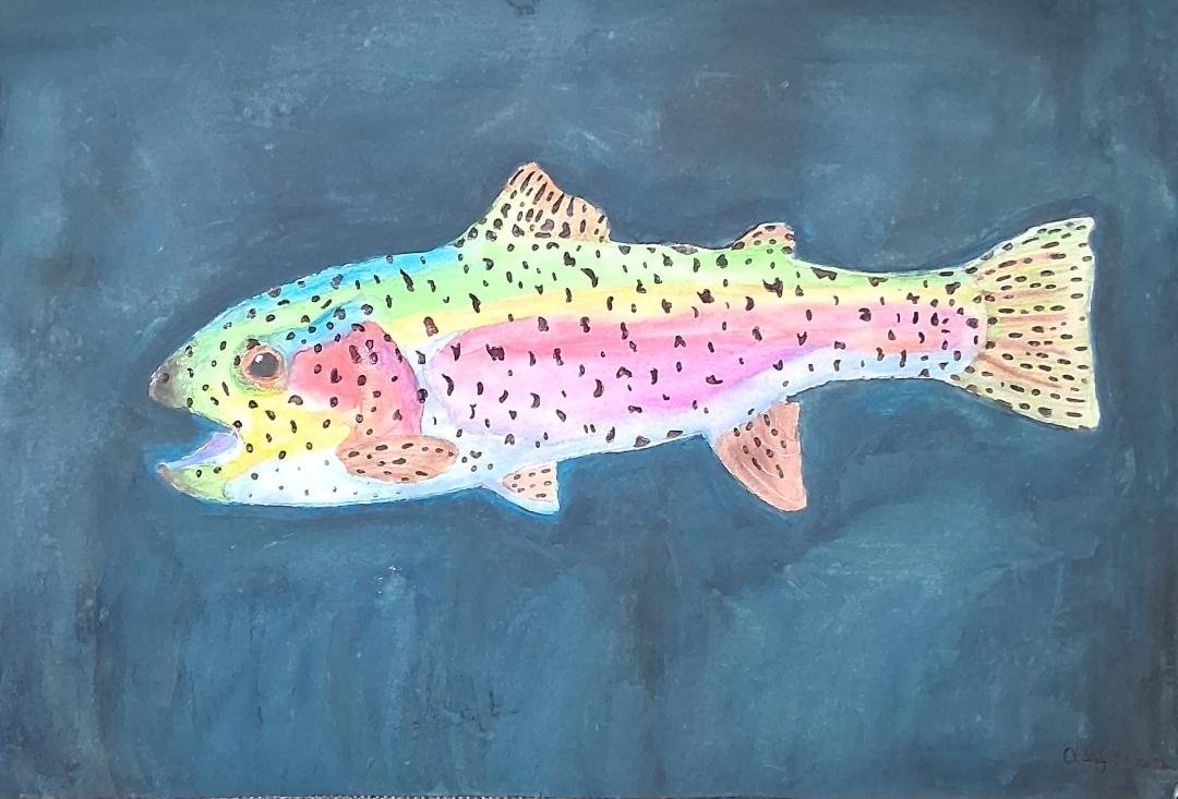 A painting of a rainbow trout on a blue ground.